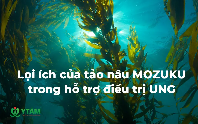 Tảo nâu Mozuku