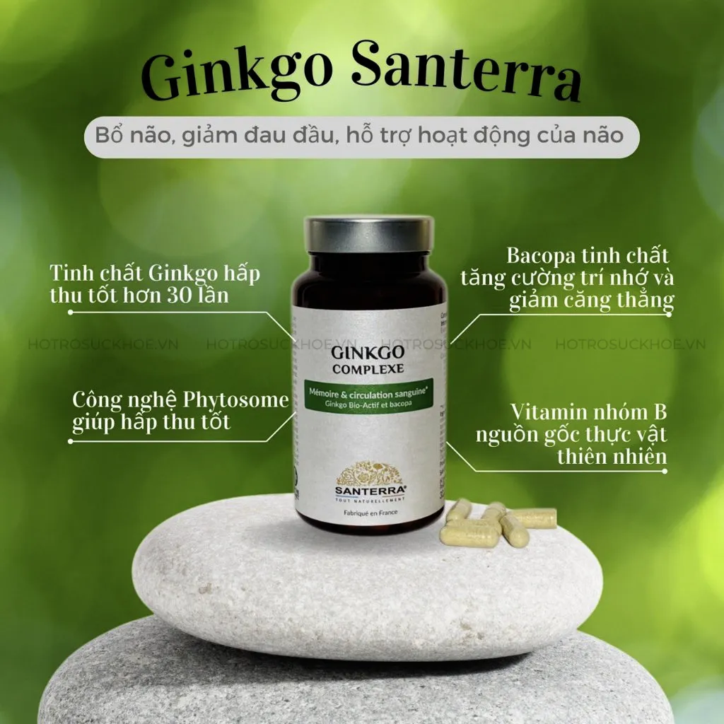 Viên Uống Bổ Não Ginkgo