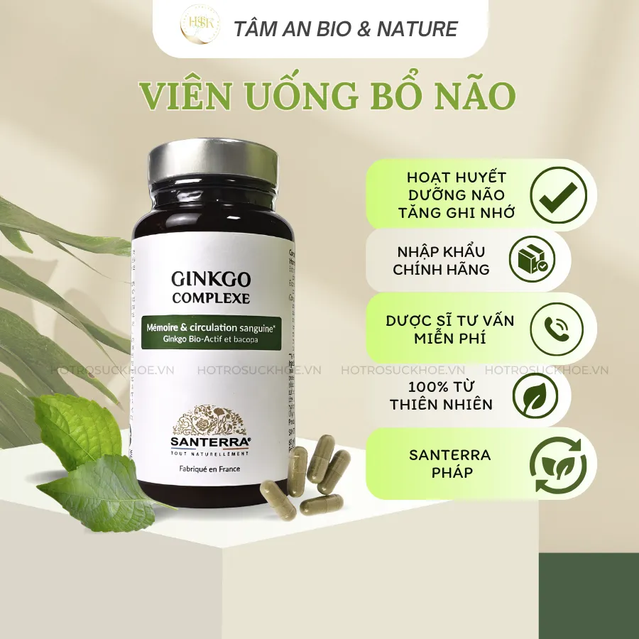 Viên Uống Bổ Não Ginkgo