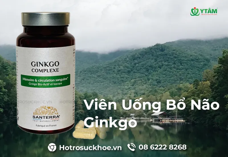 Viên Uống Bổ Não Ginkgo