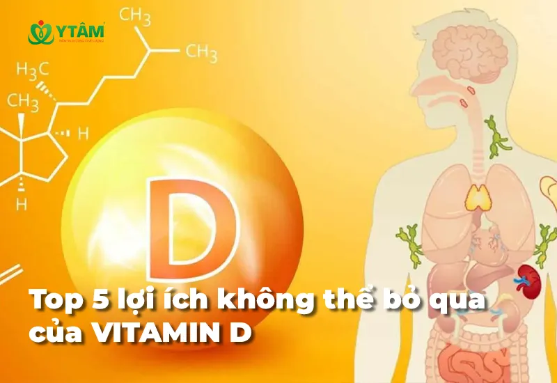 Top 5 lợi ích vitamin D