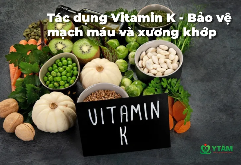 Tác dụng của Vitamin K