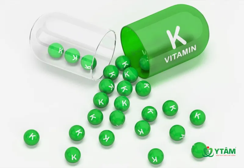 Tác dụng của Vitamin K đối với sức khỏe con người