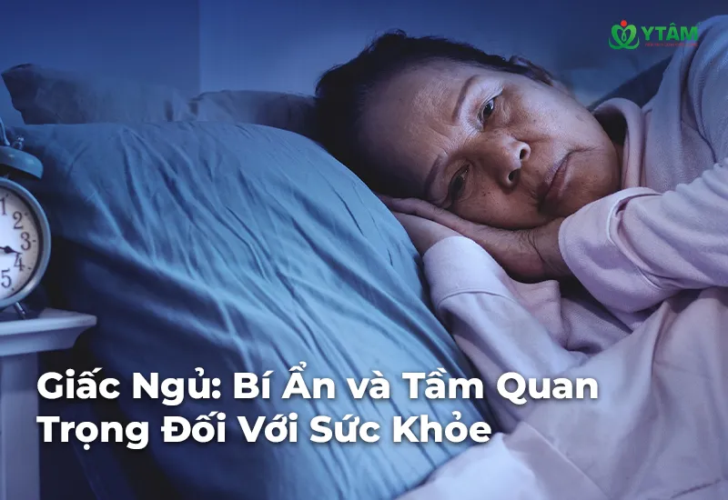 Giấc Ngủ: Bí Ẩn và Tầm Quan Trọng Đối Với Sức Khỏe