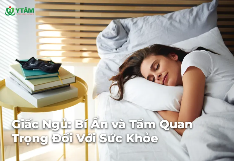 Giấc Ngủ: Bí Ẩn và Tầm Quan Trọng Đối Với Sức Khỏe