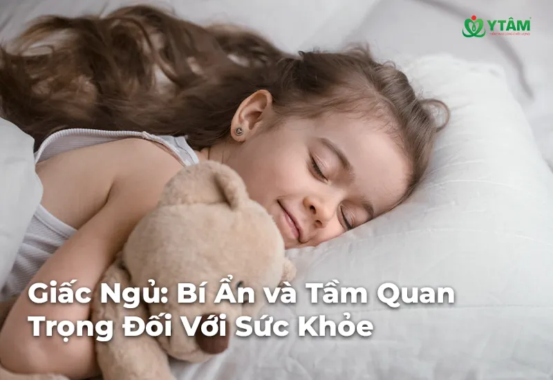 Giấc Ngủ: Bí Ẩn và Tầm Quan Trọng Đối Với Sức Khỏe