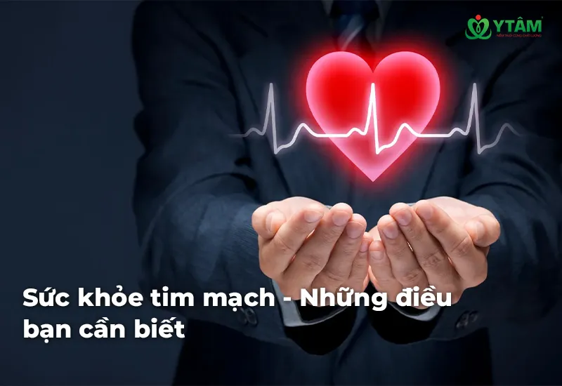 Sức khỏe tim mạch - Những điều bạn cần biết