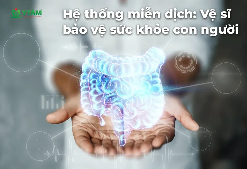 Hệ thống miễn dịch: Vệ sĩ bảo vệ sức khỏe con người