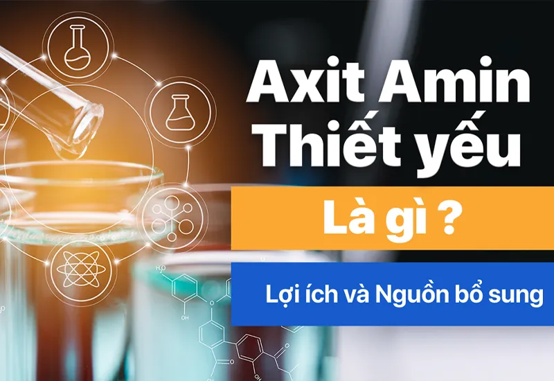 Top 4 vai trò của axit amin trong sức khỏe và dinh dưỡng