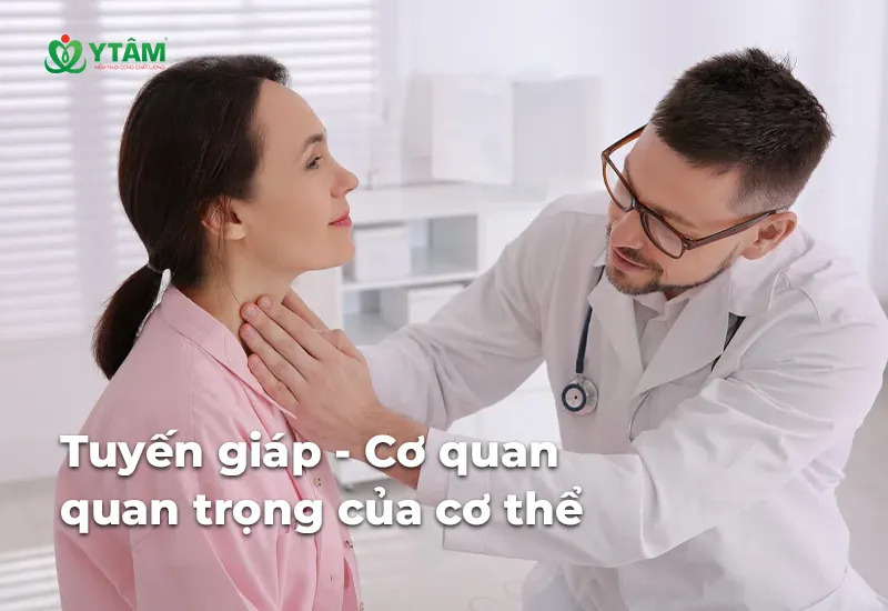 Tuyến giáp - Cơ quan quan trọng của cơ thể