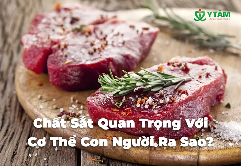 Chất Sắt Quan Trọng Với Cơ Thể Con Người Ra Sao?