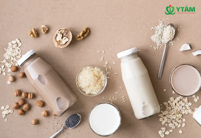 Chế Độ Ăn Dairy Free Là Gì?