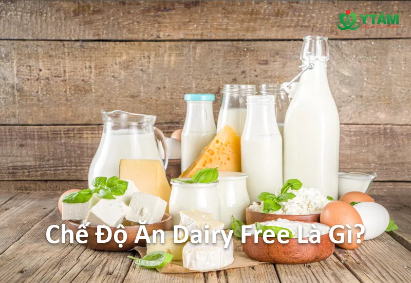 Chế Độ Ăn Dairy Free Là Gì?