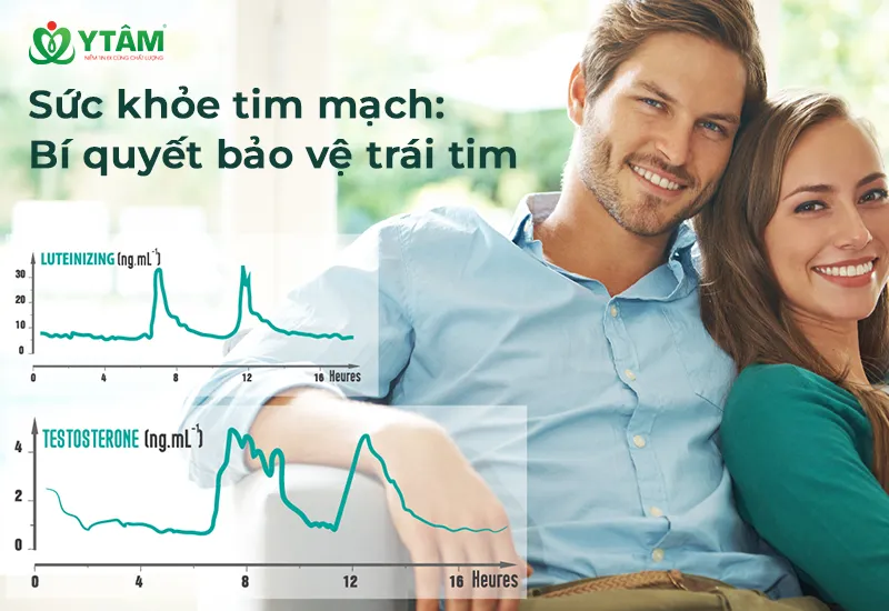 Sức khỏe tim mạch: Bí quyết bảo vệ trái tim 