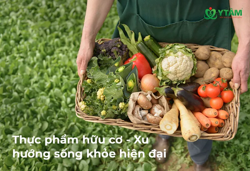 Thực phẩm hữu cơ - Xu hướng sống khỏe hiện đại