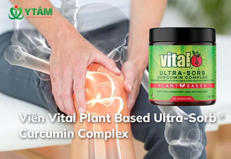 Viên Vital Plant Based Ultra-Sorb Curcumin Complex 