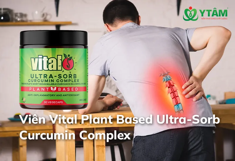 Viên Vital Plant Based Ultra-Sorb Curcumin Complex 