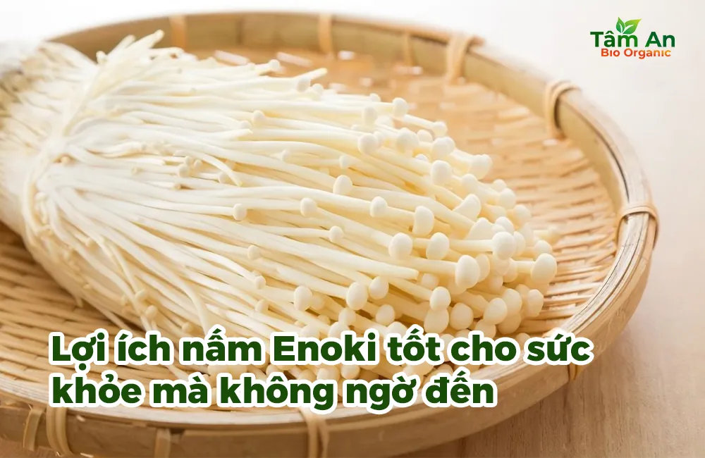 Lợi ích nấm Enoki tốt cho sức khỏe mà không ngờ đến