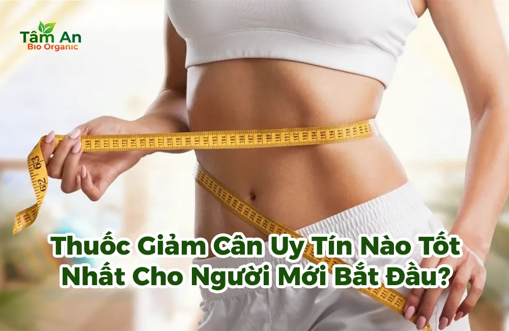 Thuốc Giảm Cân Uy Tín Nào Tốt Nhất Cho Người Mới Bắt Đầu?