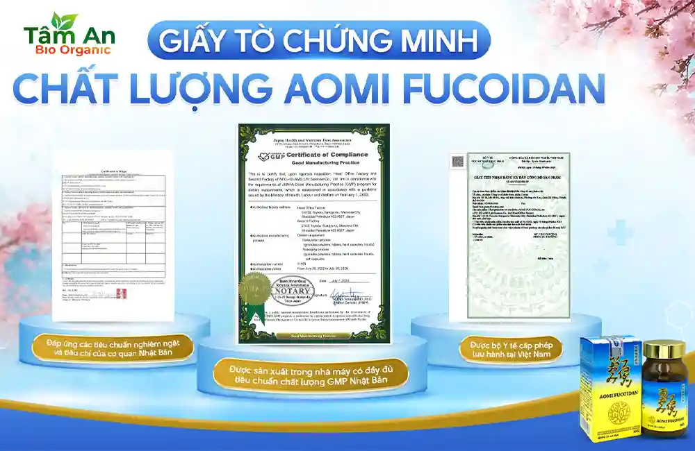 Aomi Fucoidan - Giải Pháp Hỗ Trợ Điều Trị Ung Thư Từ Nhật Bản