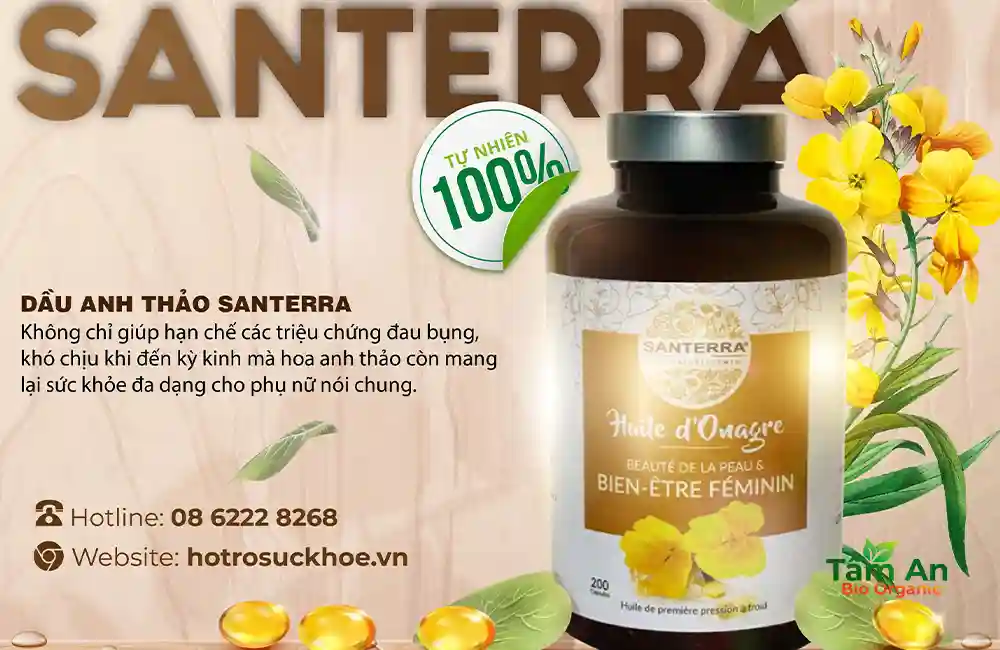 Tinh dầu anh thảo Santerra: Bí quyết cân bằng nội tiết và đẹp da