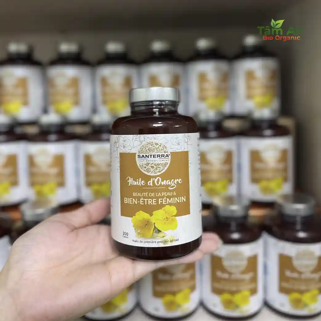 Tinh dầu anh thảo Santerra: Bí quyết cân bằng nội tiết và đẹp da