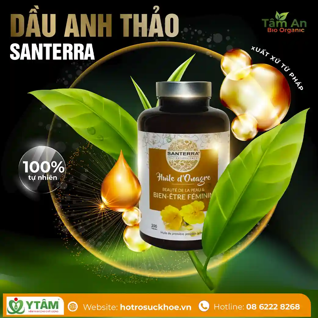 Tinh dầu anh thảo Santerra: Bí quyết cân bằng nội tiết và đẹp da
