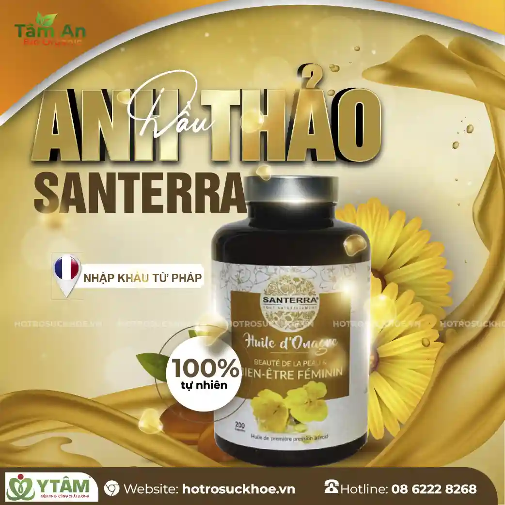 Tinh dầu anh thảo Santerra: Bí quyết cân bằng nội tiết và đẹp da