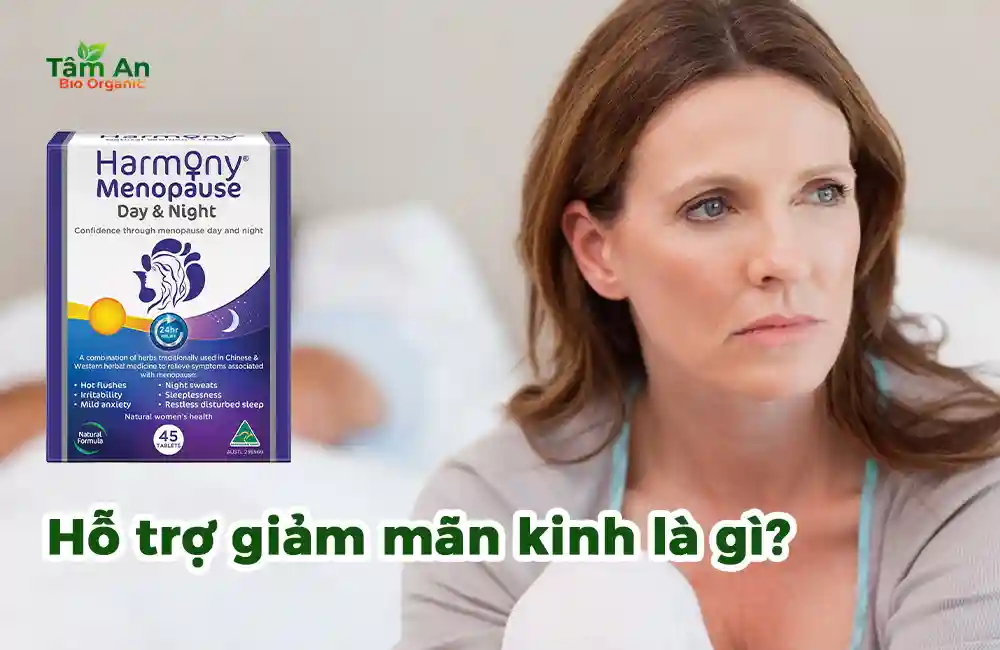 Hỗ trợ giảm mãn kinh là gì?