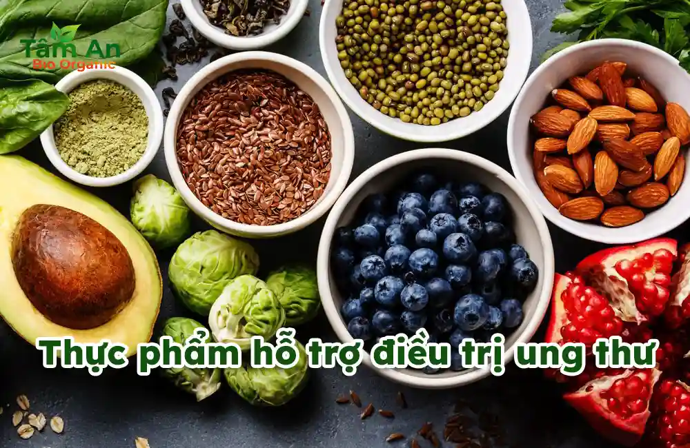 Thực phẩm hỗ trợ điều trị ung thư