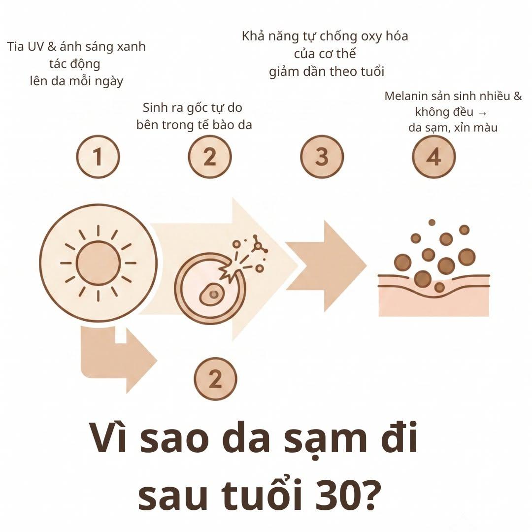 Hỗ Trợ Sức Khỏe hỗ trợ sức khỏe